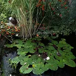 Bed & Breakfast Alabastrom Panzio Es Etterem 3*