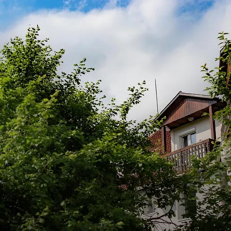 Bed & Breakfast Alabastrom Panzio Es Etterem Bogács