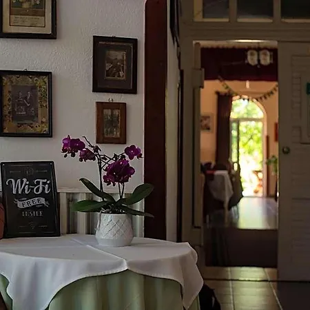 Alabastrom Panzio Es Etterem Bed & Breakfast Bogacs