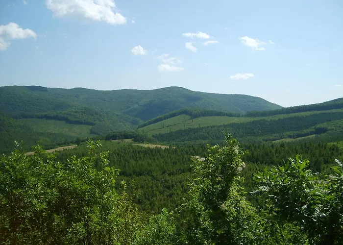 Alabastrom Panzio Es Etterem 3* Bogács